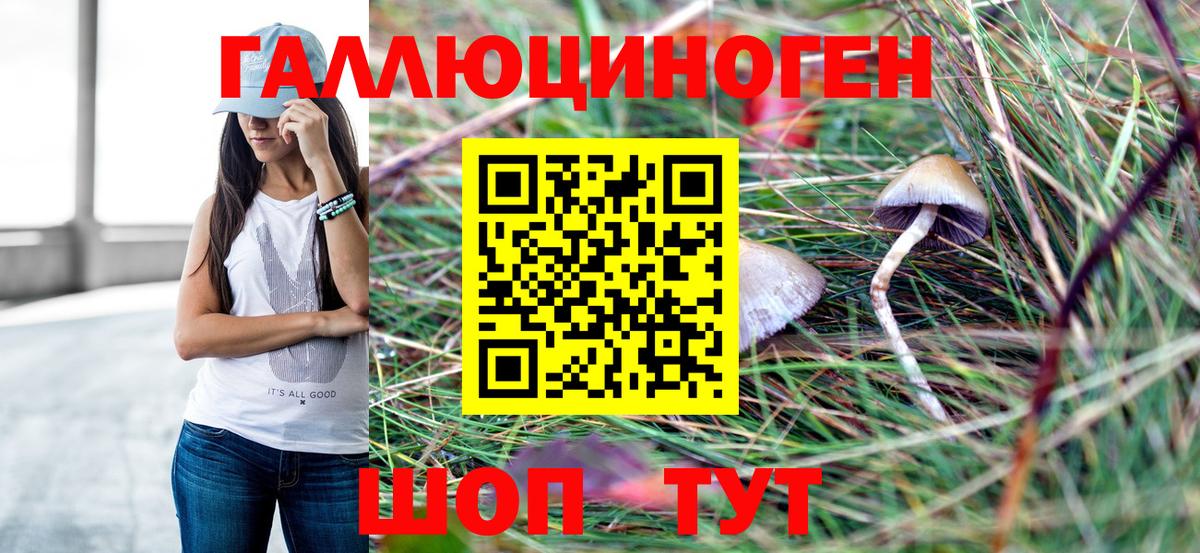 Псилоцибиновые грибы Psilocybine cubensis  Вход с VPN  Псилоцибиновые грибы Cubensis  Аргун 